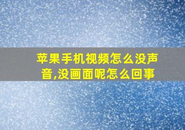 苹果手机视频怎么没声音,没画面呢怎么回事