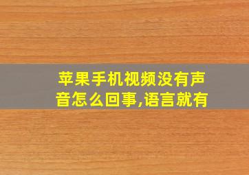 苹果手机视频没有声音怎么回事,语言就有