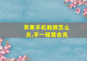 苹果手机触屏怎么关,手一碰就会亮