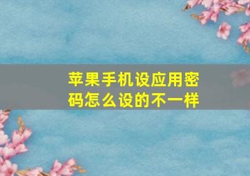 苹果手机设应用密码怎么设的不一样