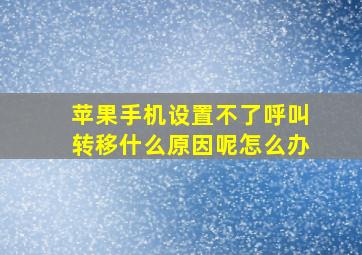 苹果手机设置不了呼叫转移什么原因呢怎么办