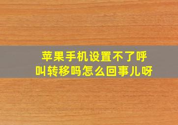 苹果手机设置不了呼叫转移吗怎么回事儿呀