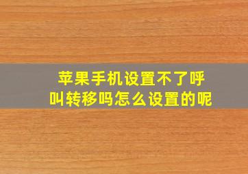 苹果手机设置不了呼叫转移吗怎么设置的呢