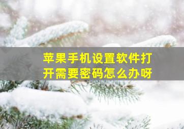 苹果手机设置软件打开需要密码怎么办呀