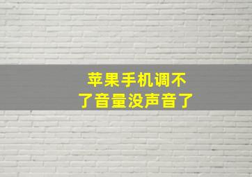 苹果手机调不了音量没声音了