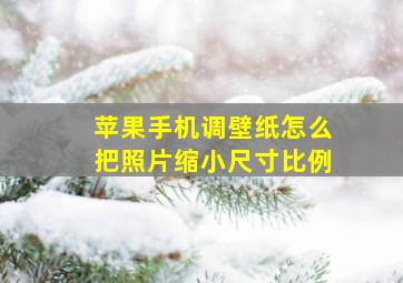 苹果手机调壁纸怎么把照片缩小尺寸比例