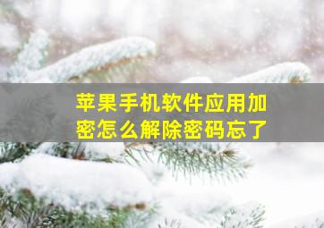 苹果手机软件应用加密怎么解除密码忘了