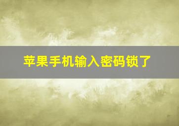 苹果手机输入密码锁了