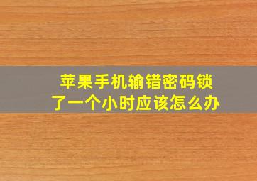 苹果手机输错密码锁了一个小时应该怎么办