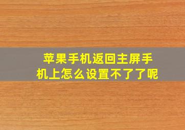 苹果手机返回主屏手机上怎么设置不了了呢