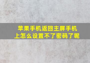 苹果手机返回主屏手机上怎么设置不了密码了呢