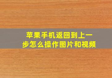 苹果手机返回到上一步怎么操作图片和视频