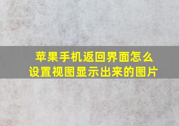 苹果手机返回界面怎么设置视图显示出来的图片