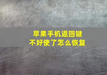 苹果手机返回键不好使了怎么恢复