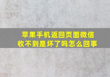 苹果手机返回页面微信收不到是坏了吗怎么回事