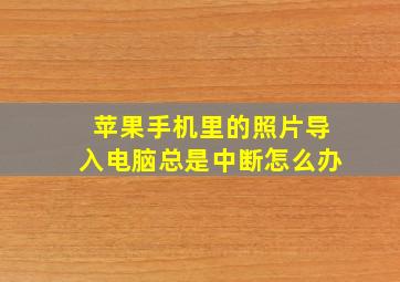 苹果手机里的照片导入电脑总是中断怎么办