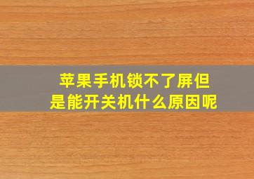 苹果手机锁不了屏但是能开关机什么原因呢