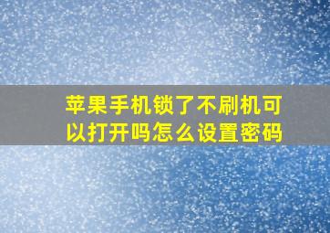 苹果手机锁了不刷机可以打开吗怎么设置密码