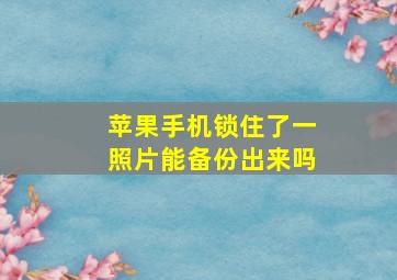 苹果手机锁住了一照片能备份出来吗