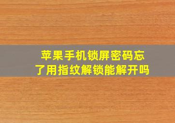 苹果手机锁屏密码忘了用指纹解锁能解开吗