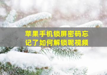 苹果手机锁屏密码忘记了如何解锁呢视频