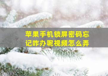 苹果手机锁屏密码忘记咋办呢视频怎么弄