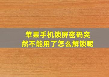 苹果手机锁屏密码突然不能用了怎么解锁呢