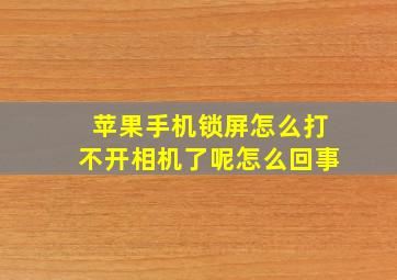 苹果手机锁屏怎么打不开相机了呢怎么回事