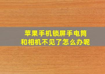 苹果手机锁屏手电筒和相机不见了怎么办呢