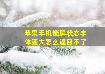 苹果手机锁屏状态字体变大怎么返回不了