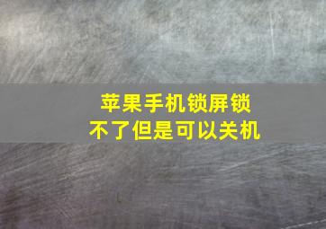 苹果手机锁屏锁不了但是可以关机