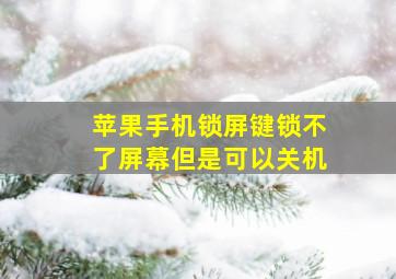 苹果手机锁屏键锁不了屏幕但是可以关机