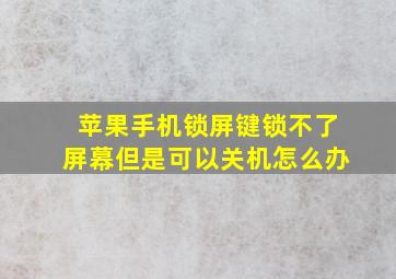 苹果手机锁屏键锁不了屏幕但是可以关机怎么办