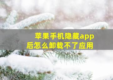 苹果手机隐藏app后怎么卸载不了应用