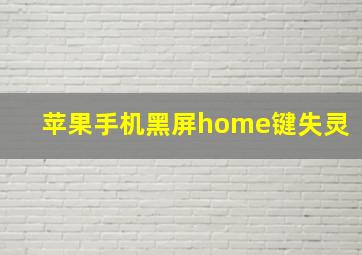 苹果手机黑屏home键失灵