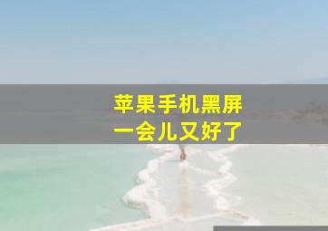 苹果手机黑屏一会儿又好了