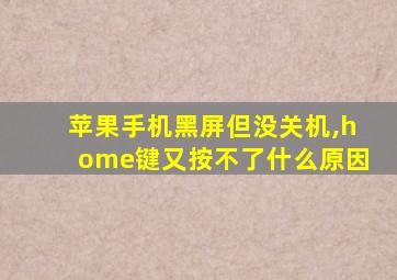 苹果手机黑屏但没关机,home键又按不了什么原因