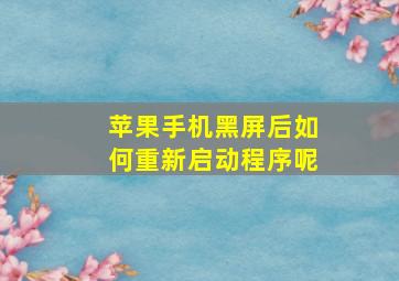 苹果手机黑屏后如何重新启动程序呢