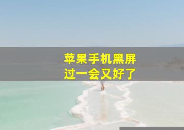 苹果手机黑屏过一会又好了