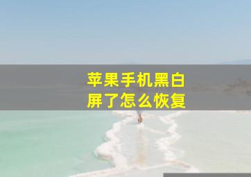 苹果手机黑白屏了怎么恢复