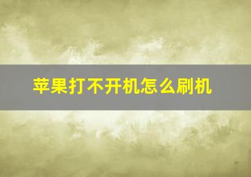 苹果打不开机怎么刷机