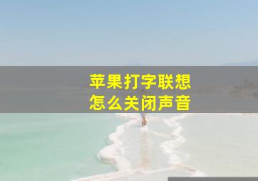 苹果打字联想怎么关闭声音