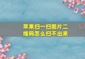 苹果扫一扫图片二维码怎么扫不出来