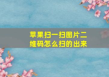 苹果扫一扫图片二维码怎么扫的出来