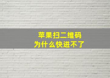 苹果扫二维码为什么快进不了