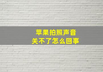 苹果拍照声音关不了怎么回事