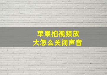 苹果拍视频放大怎么关闭声音