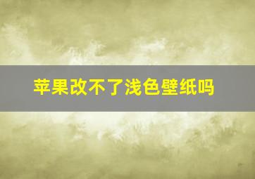 苹果改不了浅色壁纸吗