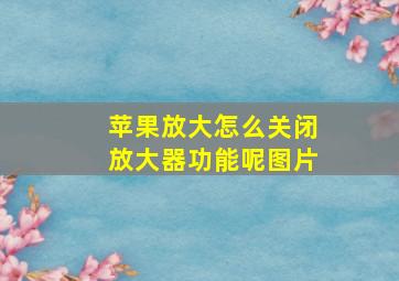 苹果放大怎么关闭放大器功能呢图片