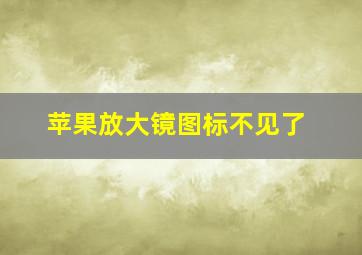 苹果放大镜图标不见了